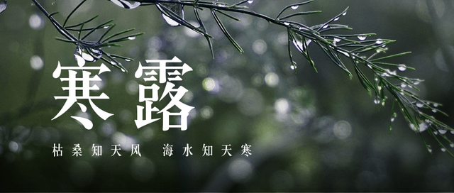 寒露|裊裊涼風(fēng)動(dòng)，凄凄寒露零
